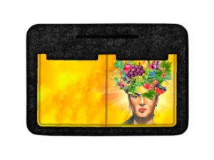 Organizer-filcowy-ciemnoszary-Fructa