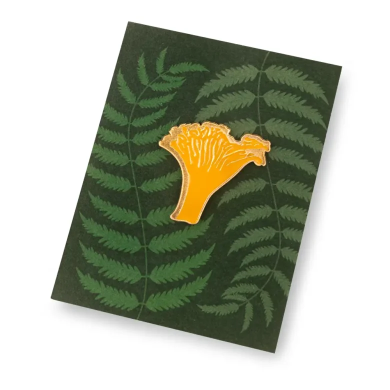 Pin przypinka grzyb Kurka Kabak