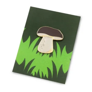 Pin przypinka grzyb Borowik Kabak